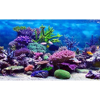 Leowefowa 5X3FT Underwater World Backdrop Aquarium Coral Fish Blue Sea Romantic Interior Wallpaper Wedding Summer Holiday Travel Vinyl Photography ...