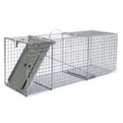 Little Giant Single Door Entry Live Animal Trap, 32.125-Inch