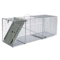 Little Giant Single Door Entry Live Animal Trap, 32.125-Inch