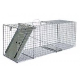 Little Giant Single Door Entry Live Animal Trap, 32.125-Inch