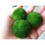 Luffy 3 Giant Marimo Moss Balls (1.5”) : Biological, Natural, Chemical Free Filter System : Removes Nitrates : A Beautiful way to keep Fish and Aqu...