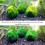 Plump your marimo with Luffy Fertilizer -- Marimo food boosts growth - Imparts and enhances color - Regular dosage results in fluffier marimos