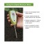 Luster Leaf Digital Moisture Meter