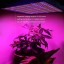 LVJING 120W Led Grow Light Panel - Indoor Plant Light Bulb - 1365 Red + Blue SMD - High Power - for Hydroponic Greenhouse Aquatic Plants Flowers Ve...