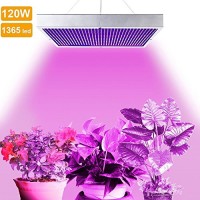 LVJING 120W Led Grow Light Panel - Indoor Plant Light Bulb - 1365 Red + Blue SMD - High Power - for Hydroponic Greenhouse Aquatic Plants Flowers Ve...