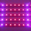 [Pack of 5] LVJING 2015 New 0.5m/strip 5W Led Grow Light Bar Flexible Soft Strip Light 30pcs 5050smd 25Red + 5Blue DC 12V for Indoor Plants Garden ...