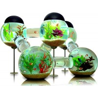 makeuseof Water plants Cool Tropical Fish Tank Animals Home Decoration Canvas Poster