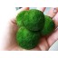 4 LUFFY Marimo Moss Balls - Aesthetically Beautiful & Create Healthy Environment - Eco-Friendly, Low Maintenance & Curbs Algae Growth - Shrimps & S...