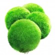 4 LUFFY Marimo Moss Balls - Aesthetically Beautiful & Create Healthy Environment - Eco-Friendly, Low Maintenance & Curbs Algae Growth - Shrimps & S...