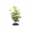 Marina Ecoscaper Hydrocotyle Silk Plant Plant, 8-Inch