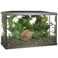 Marina LED Aquarium Kit, 10 gallon