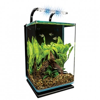 MarineLand Contour Glass Aquarium Kit with Rail Light, 5-Gallon