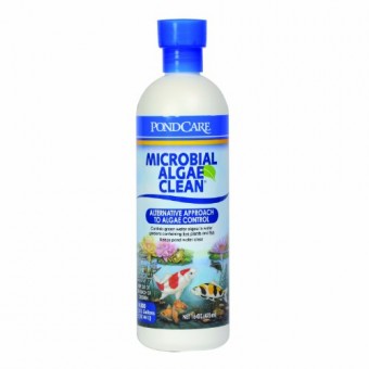 API Pondcare Microbial Algae Clean, 16-Ounce