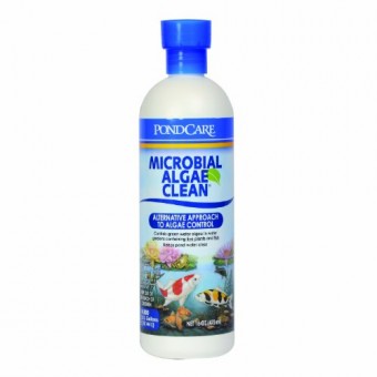 API Pondcare Microbial Algae Clean, 16-Ounce