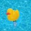 MILLIARD Floating Pool Thermometer Rubber Duck, Large Size with String, for Outdoor / Indoor Swimming Pools, Hot Tub, Spa, Jacuzzi and Pond, Yellow