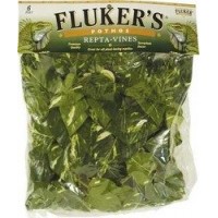 Fluker's Repta Vines-Pothos