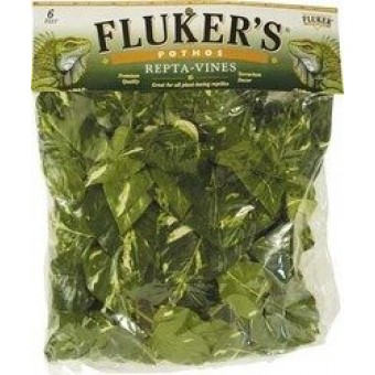 Fluker's Repta Vines-Pothos