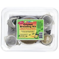 Nature Zone SNZ56411 Cricket Breeding Kit