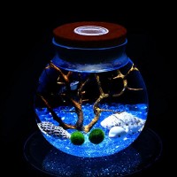 LED Aquarium Marimo Kit - Globe Glass Jar with 2 Aquatic Moss Ball Blue Glass Pebbles Fan Coral Branch and Seashells Office Desk Decor Table Center...