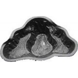 Next Generation SILVER KING FLEX POND 91 GALLONS Next Generation SILVER KING FLEX POND 91 GALLONS