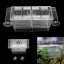 Fish Breeding Hatchery Young Fish Incubator Aquarium Isolation Breeder Box S/L (S)