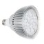 OxyLED LED Grow Light Bulb, Hydroponic Plant Grow Lights for Greenhouse (E26 12W 3Blue/9 Red LEDs)