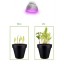 OxyLED LED Grow Light Bulb, Hydroponic Plant Grow Lights for Greenhouse (E26 12W 3Blue/9 Red LEDs)