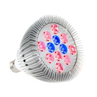 OxyLED LED Grow Light Bulb, Hydroponic Plant Grow Lights for Greenhouse (E26 12W 3Blue/9 Red LEDs)