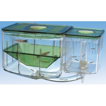 Pen-Plax AN2 Aqua Nursery and Hatchery Aquarium