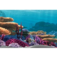 Penn Plax Finding Nemo Ocean Floor Scenery Background, 20-Gallon