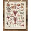 French Crustaceans Art Print - 11x14 Unframed Art Print - Great Beach House Wall Decor