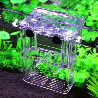 PETS ISLAND Aquarium Fish Breeding Boxes Double Guppies Hatching Incubator Isolation Box (5.3 in)