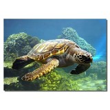 Picture Sensations Framed canvas Art Print, Sea Turtle Underwater ocean World - 40"X28"