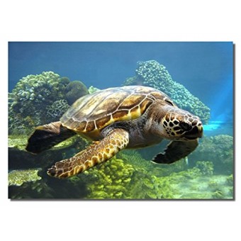 Picture Sensations Framed canvas Art Print, Sea Turtle Underwater ocean World - 40"X28"