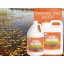 Pondworx Pond Bacteria - Formulated for Large Ponds, Water Features and Safe for Koi - 1 Gallon