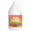 Pondworx Pond Bacteria - Formulated for Large Ponds, Water Features and Safe for Koi - 1 Gallon