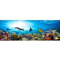 Great Barrier Reef Colorful Coral With Fish Sea Turtle Photo Art Print Poster 36x24 inch