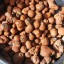 Hydro Clay Pebbles (Leca Stones) Orchid/Hydroponic Grow Media - 2 lbs by PowerGrow Systems