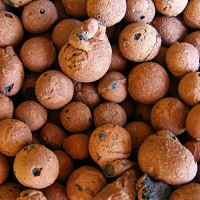 Hydro Clay Pebbles (Leca Stones) Orchid/Hydroponic Grow Media - 2 lbs by PowerGrow Systems