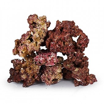 Real Reef Premium Live Rock For Saltwater Aquariums (20 LB) Mixed Sizes