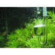 Rhinox Nano CO2 Diffuser - Keeps aquarium plants healthy with CO2 injection - 3-minutes to setup - Works best with Pressurized CO2 tank - For Tank ...