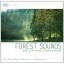 NATURE SOUNDS 4 CD Set - Ocean Waves, Forest Sounds, Thunder, Nature Sounds with Music for Deep Sleep, Meditation, & Relaxation