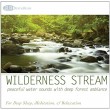 Wilderness Stream: Peaceful Water Sounds with Deep Forest Ambiance (Nature Sounds, Deep Sleep Music, Meditation, Relaxation Rivers & Babbling Brooks)