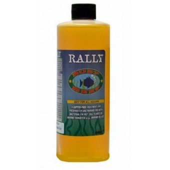 Ruby Reef ARR11136 Rally Aquarium Water Treatment, 16-Ounce