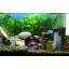 ST International AQUARIUM LOW WATER LEVEL FILTER Perfect for Turtle, Snake, Lizard and Fish Tanks