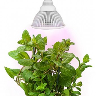 Sandalwood LED Plant Grow Light for Hydroponic Garden and Greenhouse, 12W, E27 Socket, 3 Bands