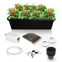 SavvyGrow Hydroponic Growing System Kit - 2 Large Airstones, Bucket with Air Pump - Complete Hydroponic Setup for Indoor Herbs, Seeds, Seedlings, L...