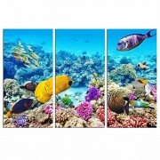 Sea Charm - Tropical Sea Canvas Wall Art,Amazing Underwater Fish Photo Prints on Canvas Gallery Wrapped Perfect Artwork for Living Room Decoration ...