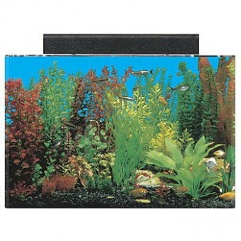 SeaClear 20 gal Acrylic Aquarium Combo Set, 24 by 13 by 16", Black