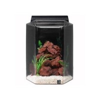 SeaClear 20 gal Deluxe Hexagon Acrylic Aquarium Combo Set, 15 by 15 by 24", Black